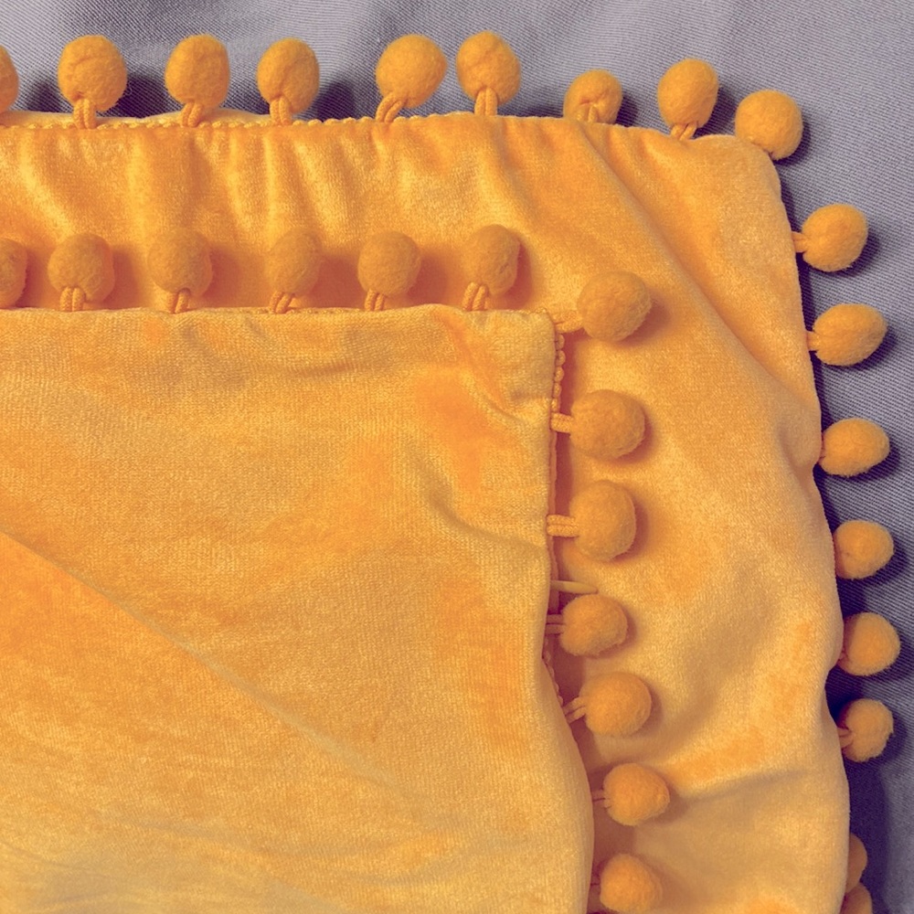 EUC 1 Set of 2 decorative accent pillow cases, like new